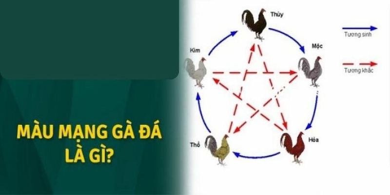 Về thuật ngữ mầu mạng đá gà